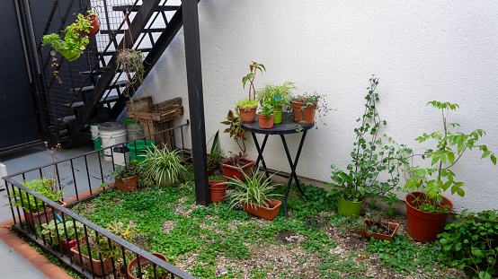 Close view of a small house garden filled with different kinds of colorful potted plants near a metal stair. Taken outdoor in a warm summer afternoon