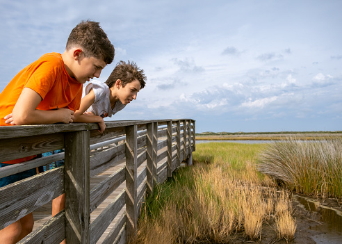 Kids visiting the outer bank learn about the marsh ecosystem