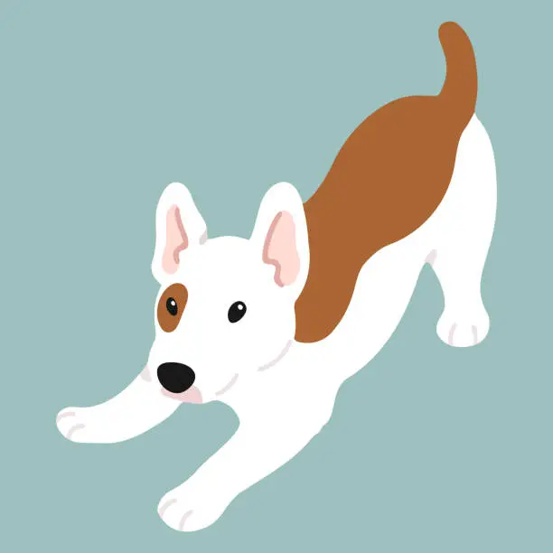 Vector illustration of Simple and cute playful Bull Terrier illustration flat colored