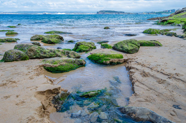 Green, rocky coast of Santander, Cantabria, northern Spain