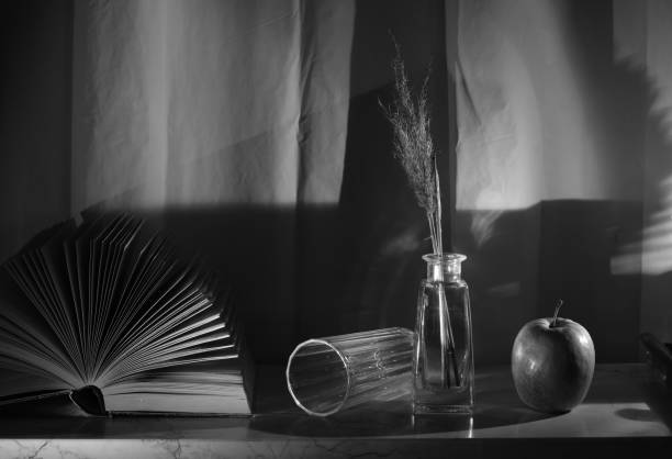 istock Open book still life, black and white, reading, education, knowledge zen concept. 2064202311