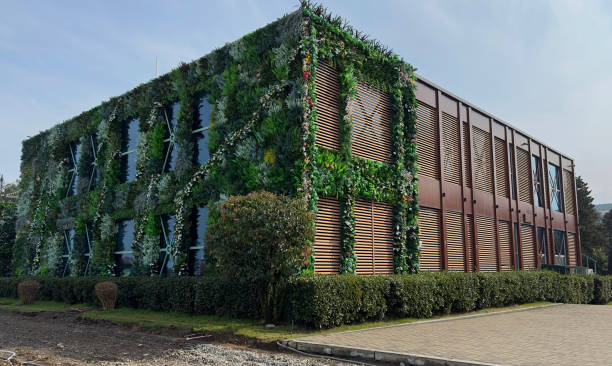 istock A new building with green shaped dressing Stock Photo 2064211406