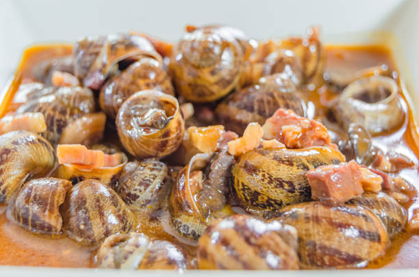 French cuisine - Escargot with butter sauce