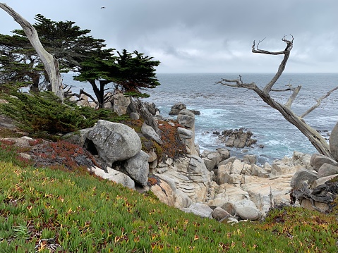 Pescadero Point in Monterey California.