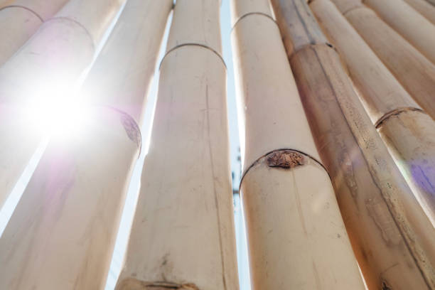 istock Bamboo fence or wall texture for nature background. 2064285405