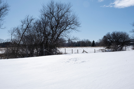 Wintery scene of a sleeping pasture covered in snow with trees in the distance