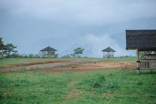 Green grass field and a hut