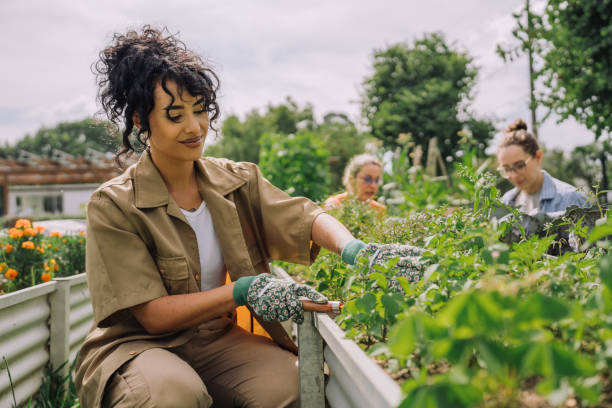 istock Women tending a community garden 2064307813