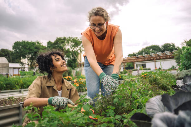 istock Women tending a community garden 2064308297