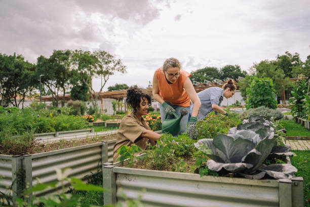 istock Women tending a community garden 2064308332