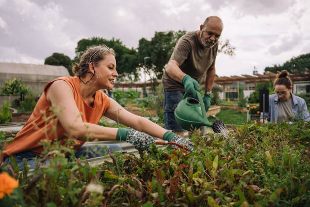 istock Women tending a community garden 2064308861