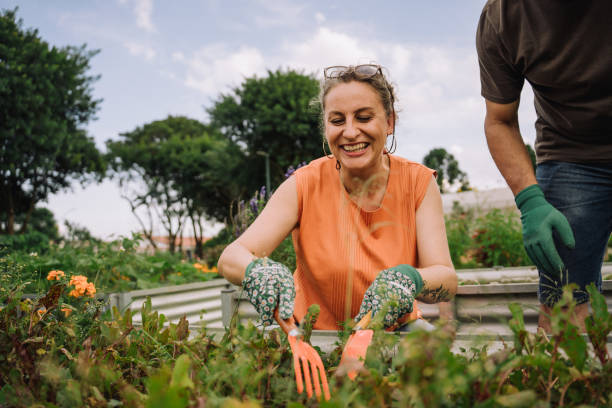 istock Mature woman tending community garden 2064308877