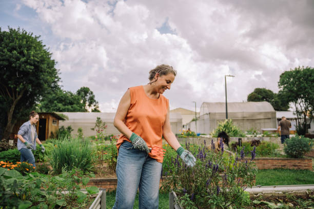 istock Women tending a community garden 2064310439
