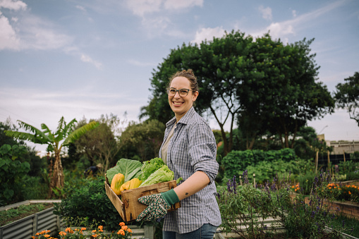 Portrait of woman holding box of vegetables in community garden and smiling