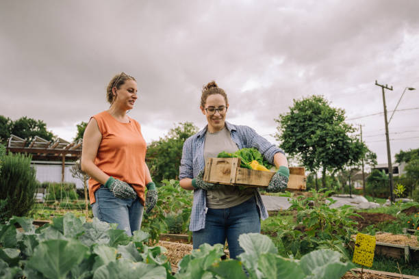 istock Women tending a community garden 2064311482