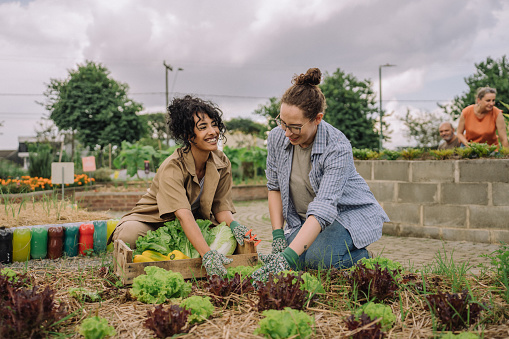 Women tending a community garden