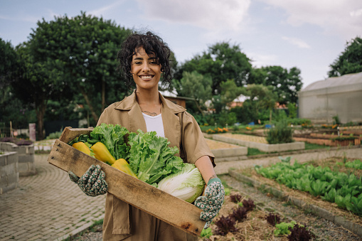 Portrait of woman holding box of vegetables in community garden and smiling