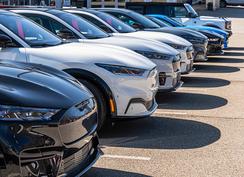 Monroeville, Pennsylvania, USA February 25, 2024 A line of new Ford Mustangs and a Bronco for sale at a dealership on a sunny winter day