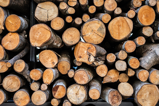 Firewood is any wooden material that is gathered and used for fuel.