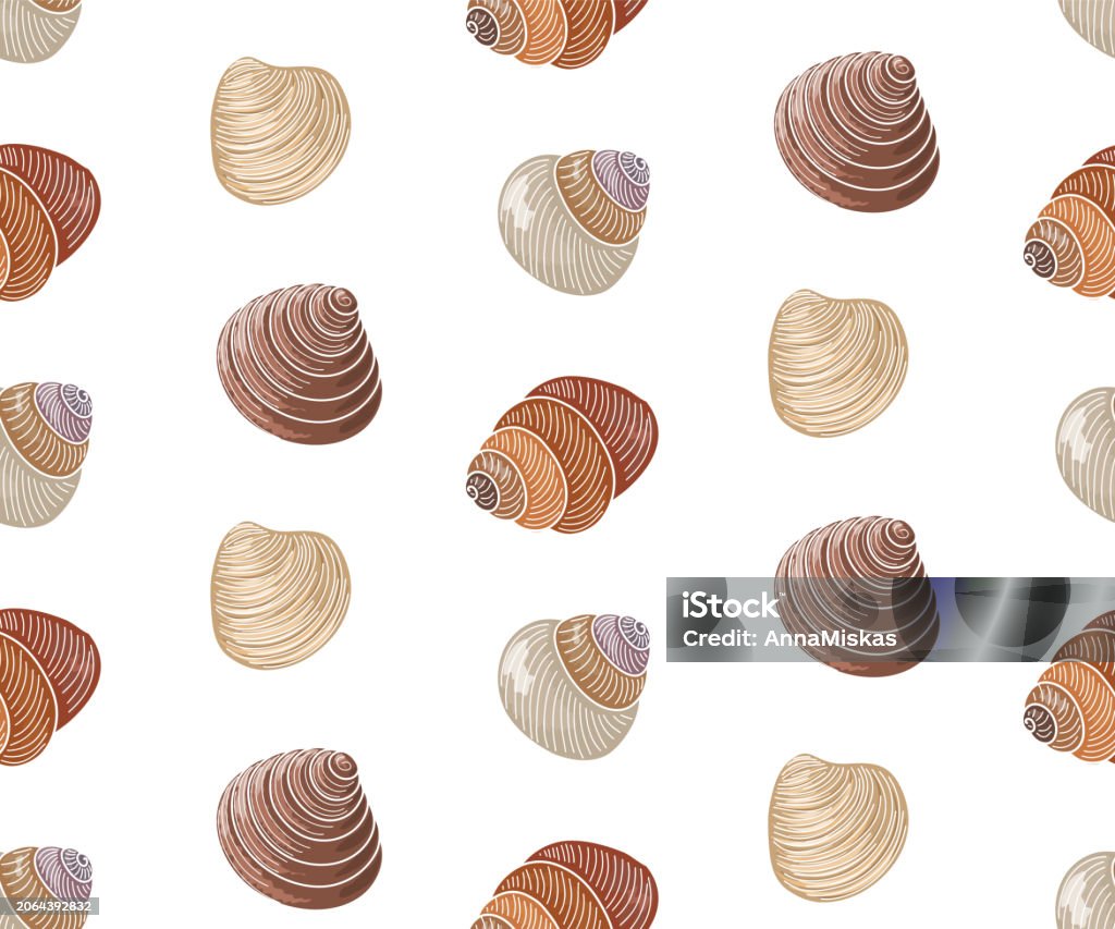 Shell Pattern Right Pattern With Various Shells Seamless Pattern With Shells Stock ...