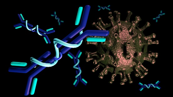 3d rendering of IgA molecules neutralize or block the activity of virus and prevent their attachment to host cells