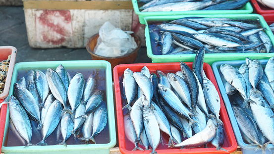 View of fresh fish at the traditional market