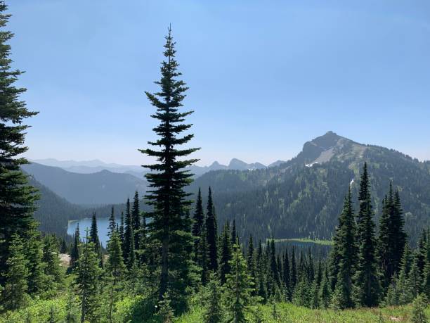istock Mt Rainier National Park View 2064427879