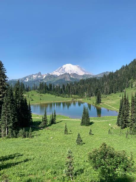 istock Tipsoo Lake at Mt Rainier National Park 2064427897