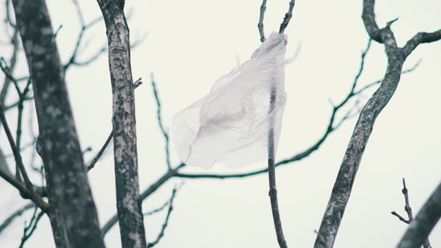 Plastic bag hung on bare tree branch, swaying with wind