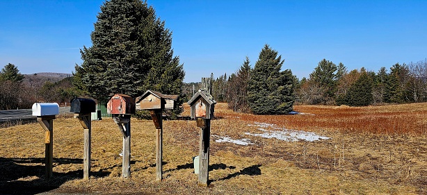 A rural scene of mailbox / letterboxes at the end of a road, New Zealand