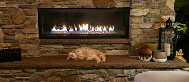 istock One Funny Cat in Front of the Fireplace 2064482566
