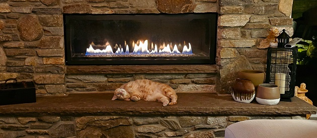 Large tabby cat chilling out in front of the roaring, stone fireplace.