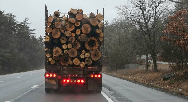 Large Logging Truck on the Highway/Road
