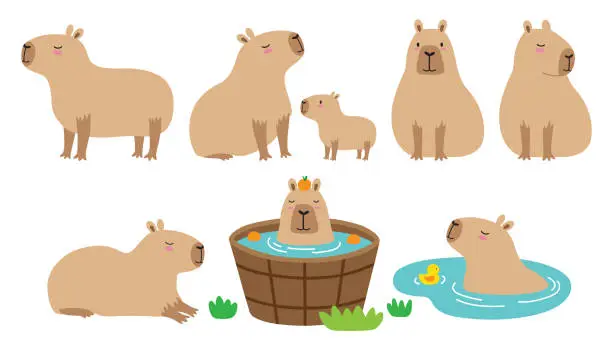 Vector illustration of Cute Capybara Vector Illustration Set