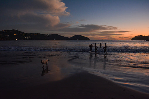 Amidst the picturesque La Madera beach in Zihuatanejo, a beautiful mid-age white retriever joins to a group of children who are playing on the beach. The stunning sunset casts a breathtaking reflection on the wet sand, creating a cinematic allure to the photo.