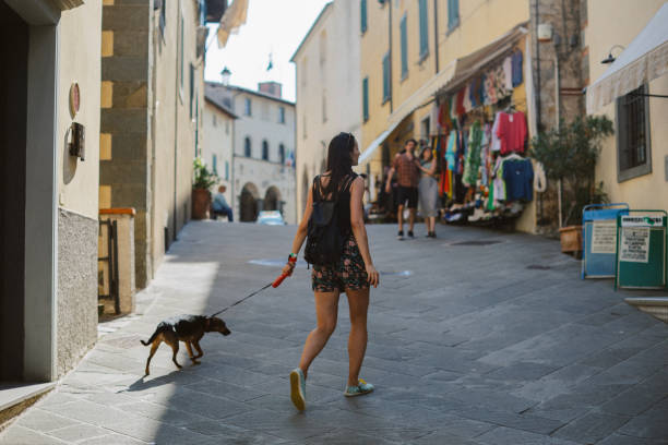 istock travel with pets in Siena, Italy 2064692759