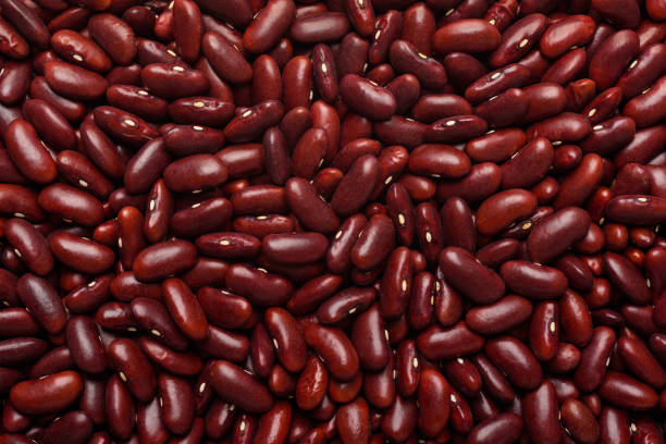 Red kidney bean seeds, an ingredient for making vegetarian and healthy food. Close-up image of food background texture stock photo