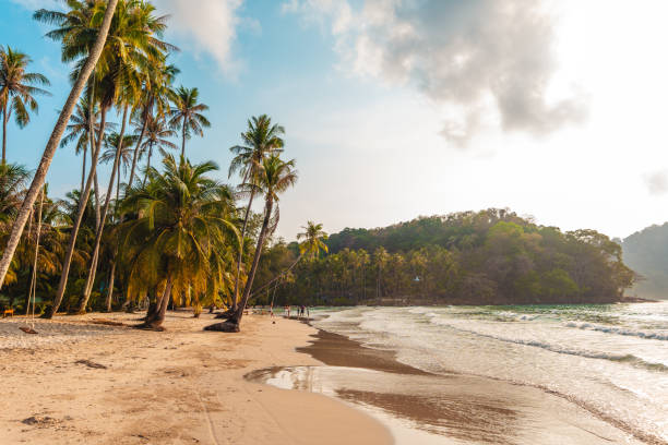 istock Beach and coconut trees with beautiful morning view on the island 2064718972