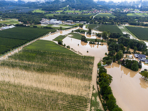 Aerial view of flooded farmland with submerged fields and trees, showcasing the impact of natural disasters on agriculture. Location: Vrbje, Slovenia
