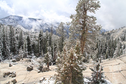 Overlooking fresh snow drop over Yosemite National Park