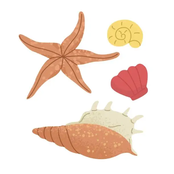 Vector illustration of Collection of shells and starfish. Summer leisure at sea and beach parties. Bright vector illustration for posters and scrapbooking, isolated on a transparent background.