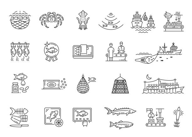 Fishing industry icons, fishery boat, fish market Fishing industry line icons, fishery boat, fish market and seafood store, vector linear symbols. Sea fishing industry, fisherman net or fishnet, fish procession and food production equipment fish trawler stock illustrations