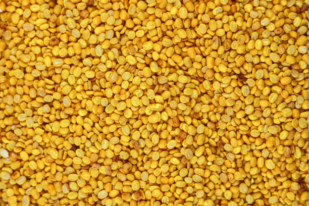 Fried mung bean background. Top view of yellow mung bean texture.