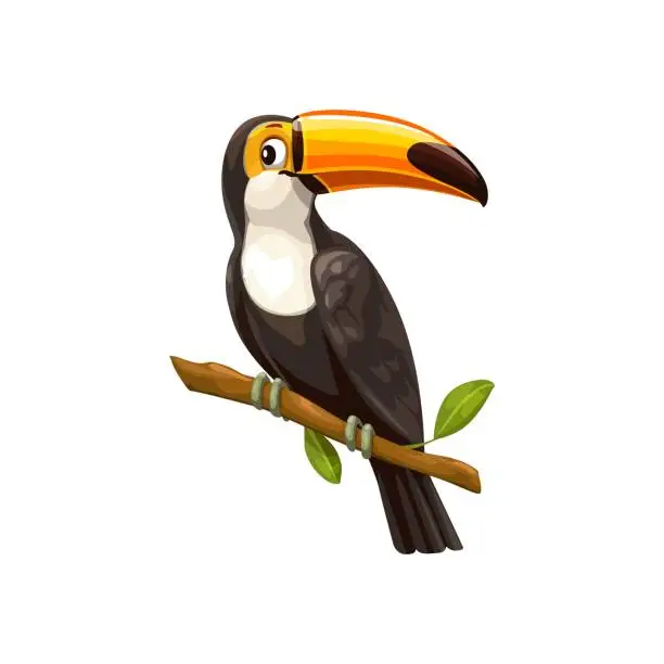 Vector illustration of Toucan sitting on branch, vector tropical bird