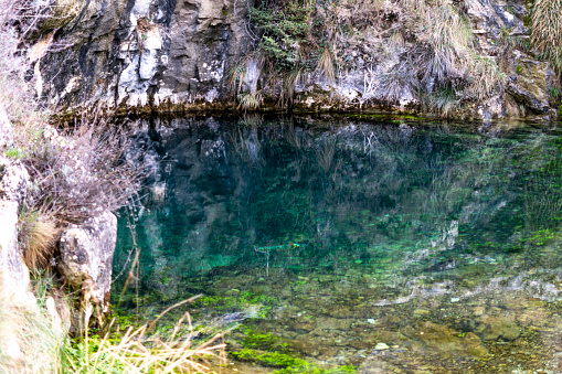 The lake or river bloomed and small green algae and ooze multiplied in it. The concept of a natural disaster and the release of harmful substances into the water and ecosystem disturbance