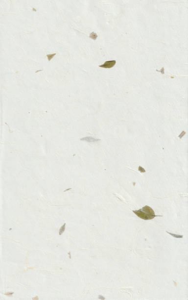 istock Handmade rice paper texture with small green leaves. 2064974847