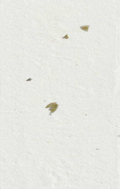 istock Handmade rice paper texture with small green leaves. 2064977486
