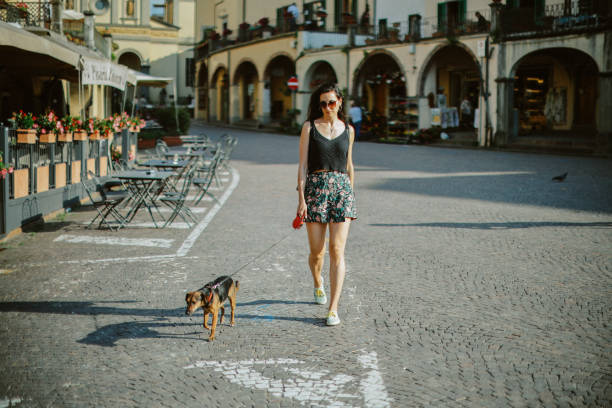 istock travel with pets through Grave in Chianti, Italy 2064988954