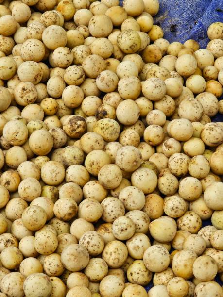 istock Duku Fruits 2064992609