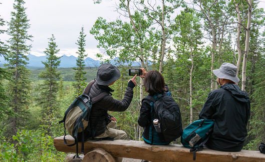Tourists taking photos using smartphones. Denali National Park and Preserve. Alaska. USA.